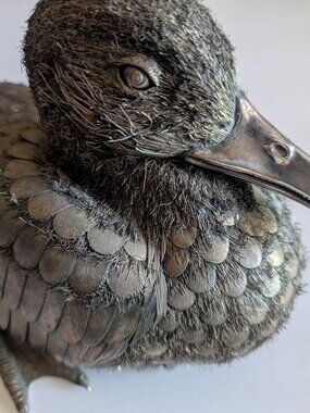 BUCCELLATI STYLE SILVER DUCK MARKED LISI, FI *615, PORTOFINO, ITALY